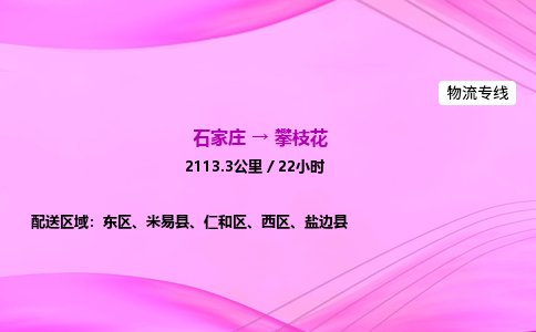 石家莊到攀枝花貨運專線_石家莊到攀枝花物流公司